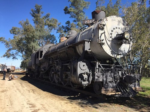 A vintage steam locomotive parked on a dirt track, surrounded by trees under a clear blue sky.