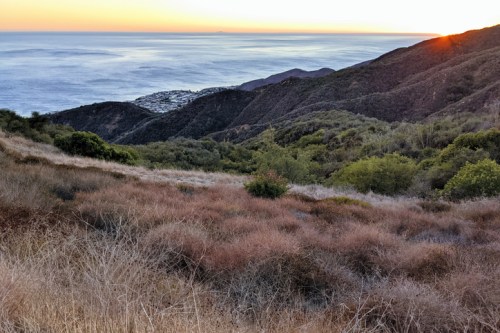 A scenic view of rolling hills and ocean at sunset, with dry grass and sparse vegetation in the foreground.