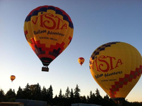 Colorful hot air balloons with "VISTA Balloon Adventures" branding float in a clear sky above trees.
