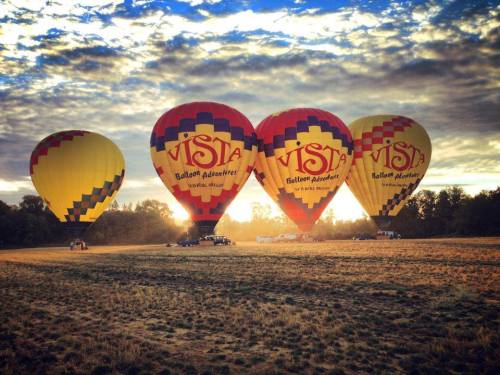 Three colorful hot air balloons with "VISTA" branding, set against a cloudy sky at sunrise in a grassy field.