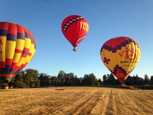 Three colorful hot air balloons ascend over a golden field under a clear blue sky.