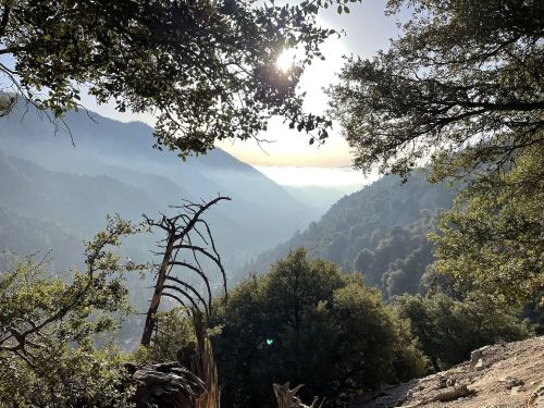 A serene mountain landscape with misty valleys, sun shining through trees, and a peaceful atmosphere.