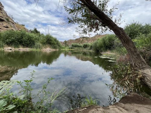 A serene river scene with lush greenery and cloudy skies reflecting on the water's surface.