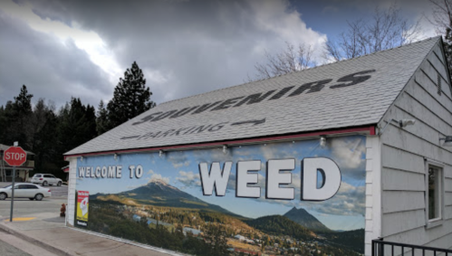 A building with a sign reading "Welcome to Weed" and a mural of mountains, under a cloudy sky.