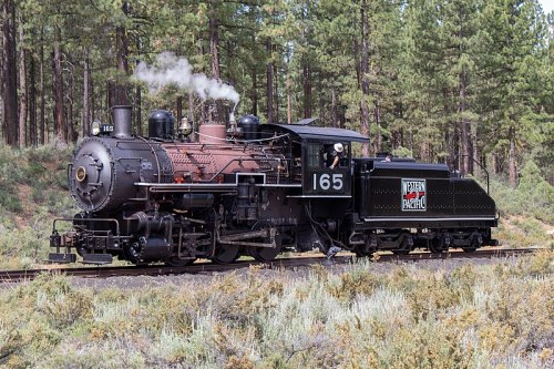 A vintage steam locomotive, number 165, chugs along a forested track, with smoke billowing from its chimney.
