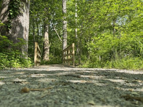 A gravel path leads to a wooden bridge surrounded by lush green trees and foliage.