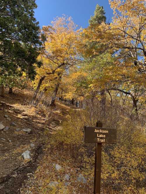 A trail sign for Jackson Lake Trail surrounded by trees with vibrant autumn foliage under a clear blue sky.