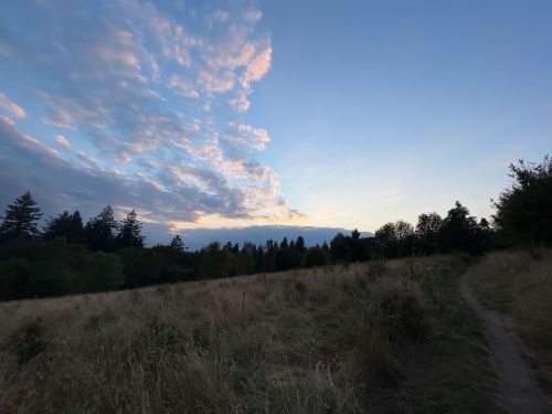 A serene landscape at dusk, featuring a grassy field, trees, and a colorful sky with scattered clouds.