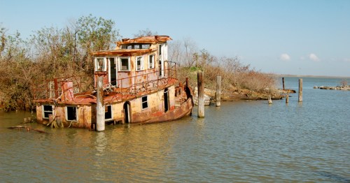 A rusted, abandoned vintage tugboat sits partially submerged in the water near a brush-covered shoreline.