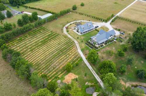 Aerial view of a rural property featuring a house, vineyard, and surrounding greenery with a winding driveway.