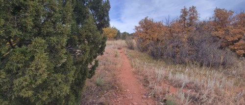 A dirt path winds through a grassy area with green and orange foliage under a cloudy sky.