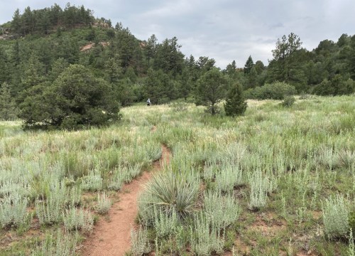 A winding dirt path through a grassy field surrounded by trees and hills under a cloudy sky.