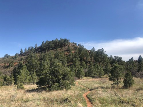A winding dirt path leads through a grassy field surrounded by trees, with a hill in the background under a blue sky.