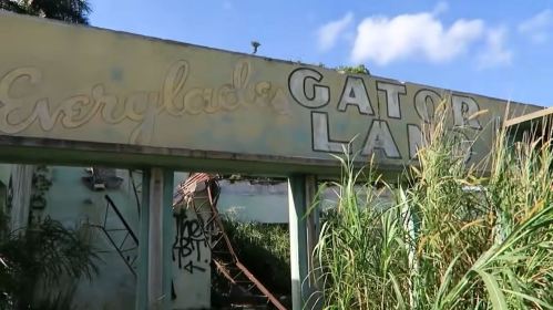 Sign for "Everglades Gator Lane" partially obscured by overgrown grass and graffiti, with a blue sky in the background.
