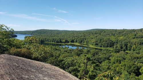 A scenic view of a lush green landscape with a calm lake, surrounded by trees under a clear blue sky.