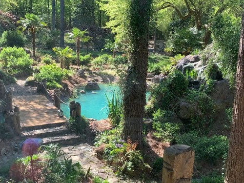 Lush garden with a turquoise pond, surrounded by greenery, palm trees, and stone pathways. Sunlight filters through trees.