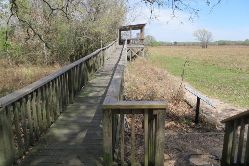 A wooden boardwalk leads to a viewing platform, surrounded by grass and trees under a clear blue sky.