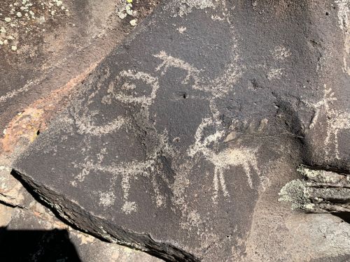 Petroglyphs on a rock surface depicting abstract figures and animals, showcasing ancient artistic expressions.