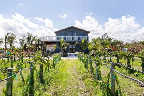 A two-story house surrounded by lush greenery and palm trees, with a pathway leading through a garden.