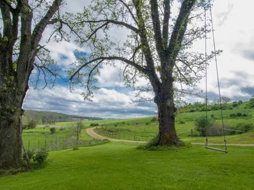 A serene landscape featuring two large trees, a swing, and a winding dirt path through lush green fields under a cloudy sky.
