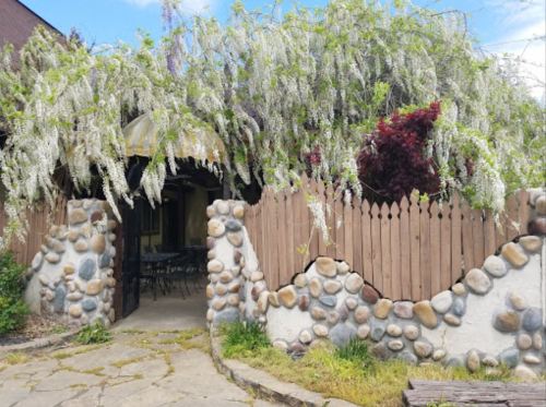 A charming entrance with a stone pathway, wooden fence, and lush greenery overhead.