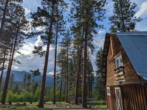 A rustic wooden cabin surrounded by tall pine trees and mountains under a partly cloudy sky.