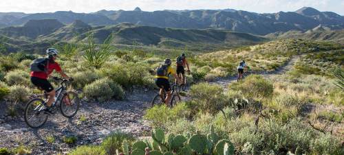A group of mountain bikers riding on a rocky trail through a lush, green desert landscape with distant mountains.