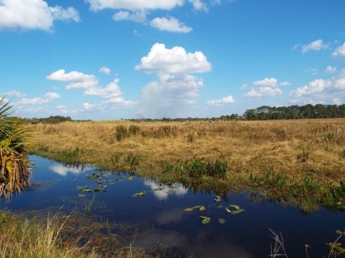 A serene landscape featuring a calm waterway, grassy fields, and a blue sky with fluffy clouds.