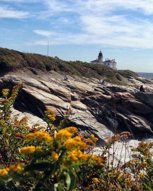 A rocky coastline with yellow flowers in the foreground and a lighthouse in the background under a blue sky.