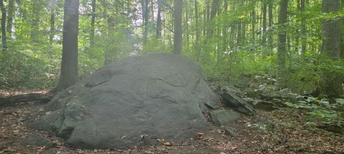 A large, moss-covered rock surrounded by trees in a lush green forest.
