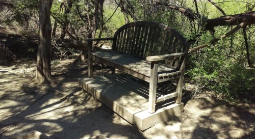 A rustic wooden bench sits in a shaded area surrounded by trees and greenery.