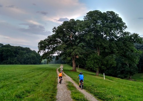 Two children ride bicycles along a gravel path through a green field, with a large tree in the background.