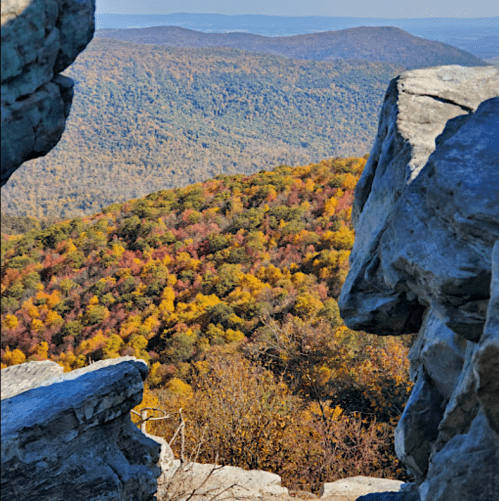 A scenic view of colorful autumn foliage from a rocky overlook, with rolling hills in the background.