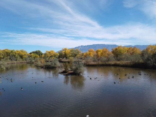 A serene pond surrounded by trees with autumn foliage and mountains in the background under a clear blue sky.