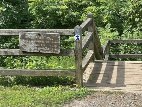Sign for Black River Trail with distance markers, surrounded by greenery and a wooden railing.