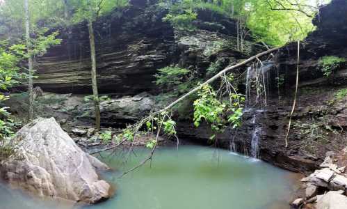 A serene forest scene featuring a small waterfall cascading into a tranquil pool surrounded by rocky cliffs and lush greenery.