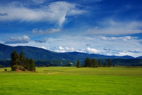 A vibrant green field stretches under a blue sky with fluffy clouds, framed by distant mountains and scattered trees.