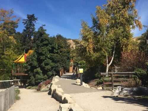 A scenic pathway through a park with trees, colorful foliage, and a playground in the background under a clear blue sky.