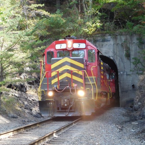 A red and yellow train emerges from a tunnel surrounded by trees and rocky terrain.