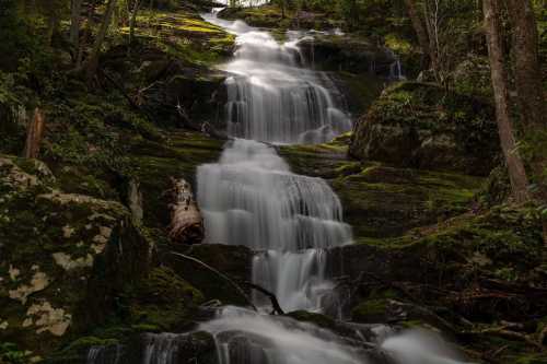 A serene waterfall cascades down moss-covered rocks, surrounded by lush greenery and trees.