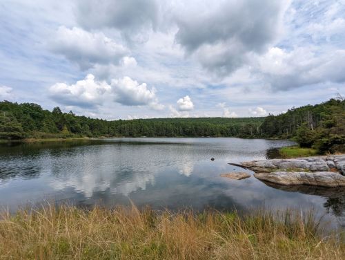 A serene lake surrounded by trees and rocky shores, with fluffy clouds reflecting on the water's surface.