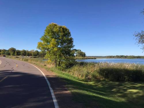 A scenic view of a winding road beside a calm lake, surrounded by trees and tall grass under a clear blue sky.