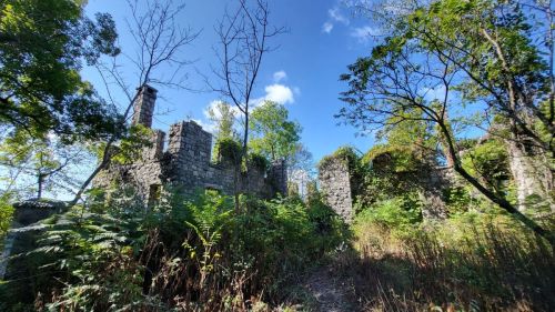 Ruins of a stone structure surrounded by trees and overgrown vegetation under a clear blue sky.