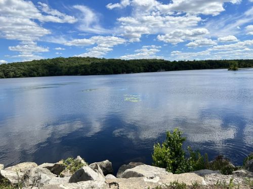 A serene lake surrounded by greenery, with fluffy clouds reflecting on the water's surface. Rocks line the shore.