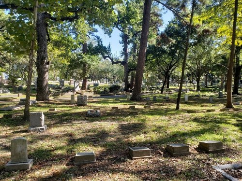 A serene cemetery scene with scattered gravestones surrounded by lush trees and greenery under a clear blue sky.