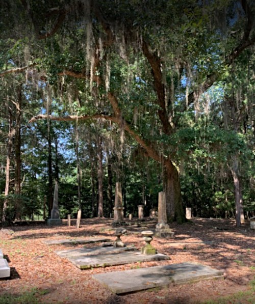 A serene cemetery scene with moss-covered trees and weathered gravestones under a clear blue sky.
