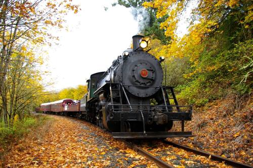 A vintage steam train travels along a scenic track surrounded by vibrant autumn foliage.