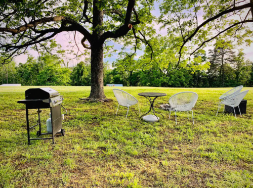 A grassy outdoor space with a grill, a round table, and four chairs under a large tree.