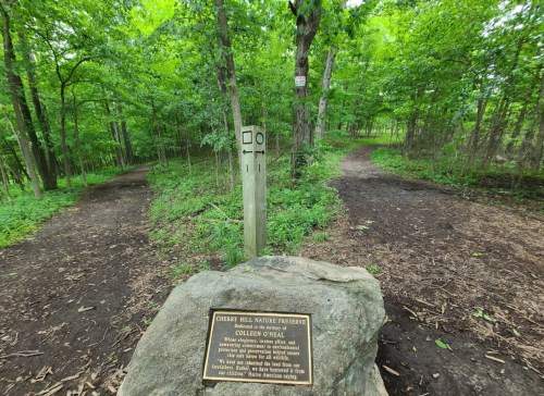 A stone marker with a plaque at a trail junction in a lush green forest, indicating the paths ahead.
