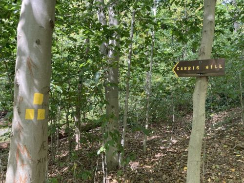 A wooded area with a sign pointing to "Carris Hill" and yellow trail markers on a tree trunk.